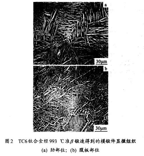 TC6鈦合金經(jīng)993 ℃準鍛造得到的模鍛件顯微組織(a) 肋部位；(b) 腹板部位